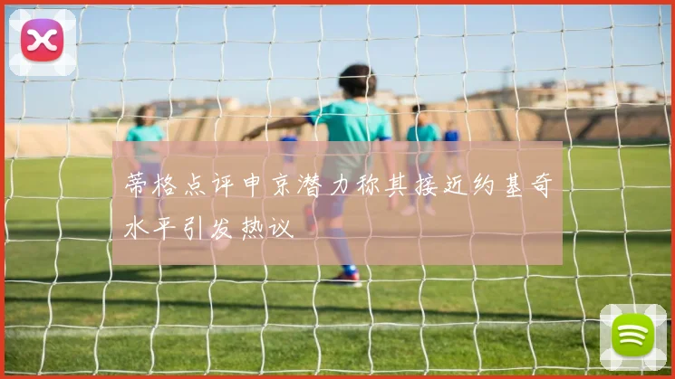 蒂格点评申京潜力称其接近约基奇水平引发热议